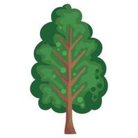 spring tree green vector