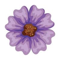 spring purple flower vector