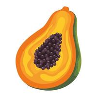 papaya fresh fruit vector