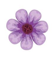 beautiful purple flower decorative icon vector