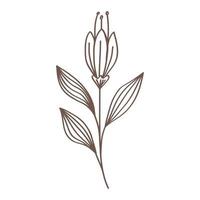 spring flower and leafs hand drawn style vector