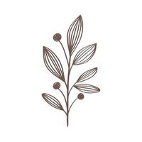 branch with leafs plant and seeds hand drawn style icon vector