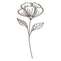 spring flower and leafs hand drawn style icon vector