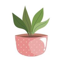 house plant in pink ceramic pot vector