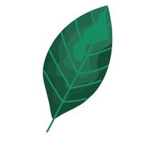 leaf plant foliage isolated icon vector