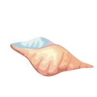 sea shell color isolated icon vector
