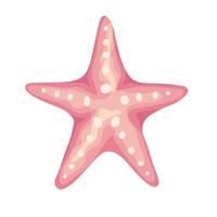 starfish sea shell color pink isolated icon vector