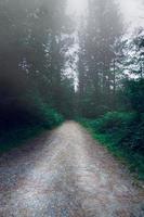 camino con árboles verdes en la montaña foto