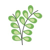 green branch with leafs plant decorative nature icon vector