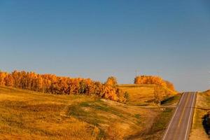 Los colores de otoño de los campos de agricultores fronterizos condado de Rockyview Alberta Canada