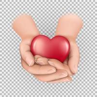 Heart in folded palms Banner for World Heart Day  Valentines day Isolated on transparent background vector