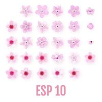 conjunto de iconos de pétalos de sakura rosa realista flores de cerezo vector