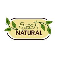 natural fresh lettering flat style icon vector