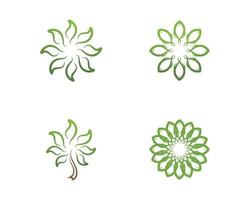 abstract Vector set of floral patterns on a white background