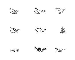 Tree leaf vector logo design of nature object and illustration