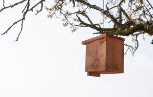 nice wooden birdhouse hanging from a tree
