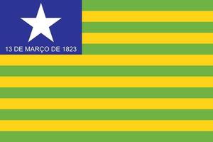 Brazilian state Piaui flag vector