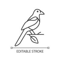 Oriental magpie linear icon vector