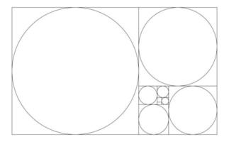 golden ratio circles and rectangles vector