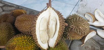 fruta fresca de durian, formato de banner