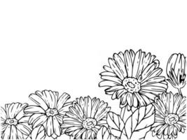 Plantilla de banner con marco floral hecho de gerberas y hojas ilustración vectorial en monocromo en estilo de contorno dibujado a mano vector