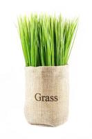 artificial grass in sack photo