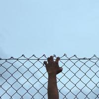 hand reaching a metallic fence photo