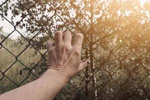 hand reaching a metallic fence photo