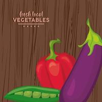 local fresh vegetables lettering with background wooden vector