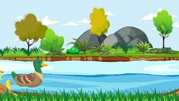 o pato e seus bebês estão nadando no pântano