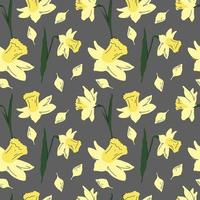 Narcissus pattern Seamless vector pattern with daffodil flowers on transparent background