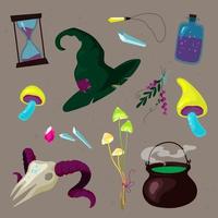 Witchcraft Set of witch utensils ingredients in colorful cartoon style vector