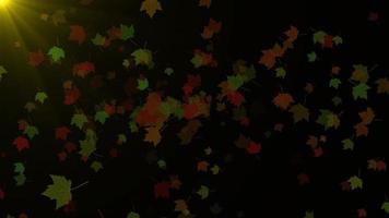Red green and yellow maple leaves particle background video