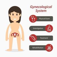 Gynecological system and medical line icon  flat design vector