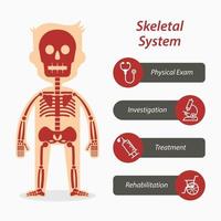 sistema esquelético e icono de línea médica vector