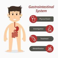 sistema gastrointestinal e icono de línea médica vector