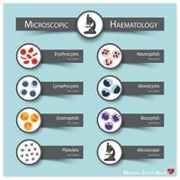 Microscopic Haematology  Medical sticky note style  Bone marrow produce blood cells series  erythrocytes  lymphocytes  neutrophils  monocytes  eosinophils  basophils  thrombocytes vector