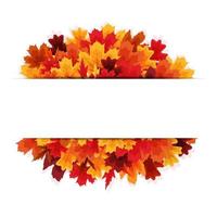 Shiny Autumn Leaves Banner Background vector