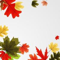 fondo de banner de hojas de otoño brillante vector