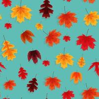 hojas de otoño, seamless, patrón, plano de fondo vector