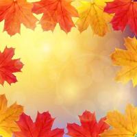 Shiny Autumn Leaves Banner Background vector