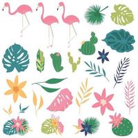 conjunto tropical con hojas y flamencos. vector