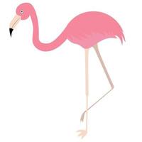 Tropical set with leave and flamingo vector
