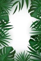 Natural Realistic Green Palm Leaves Tropical Background vector