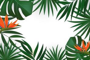 Natural Realistic Green Palm Leaf with Strelitzia Flower. Tropical Background vector