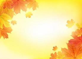 Shiny Autumn Leaves Banner Background vector