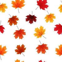 Autumn Leaves Seamless Pattern Background vector