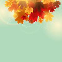 Shiny Autumn Leaves Banner Background vector