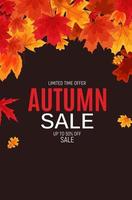 Shiny Autumn Leaves Sale Banner Business Discount Card vector