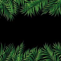 Tropical Natural Palm Background vector